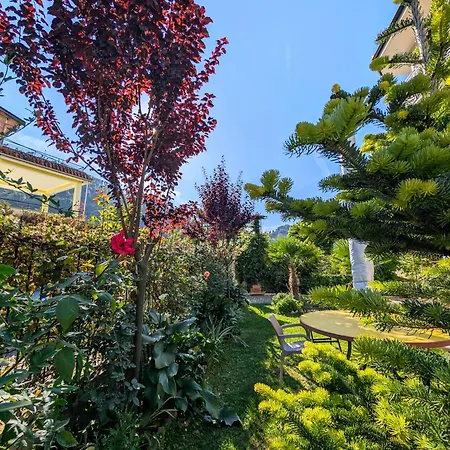 Apartment With Garden And Veranda Berat