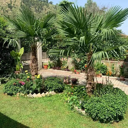 With Garden And Veranda Berat